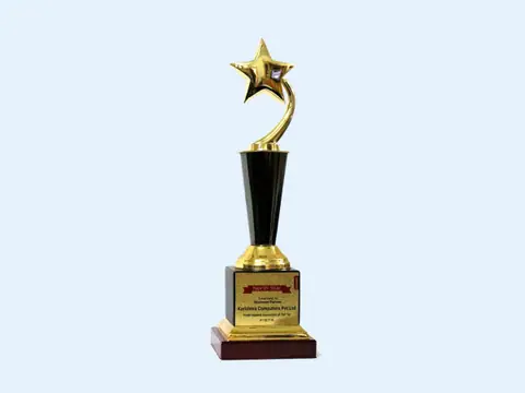 North Star — Business Partner certificate